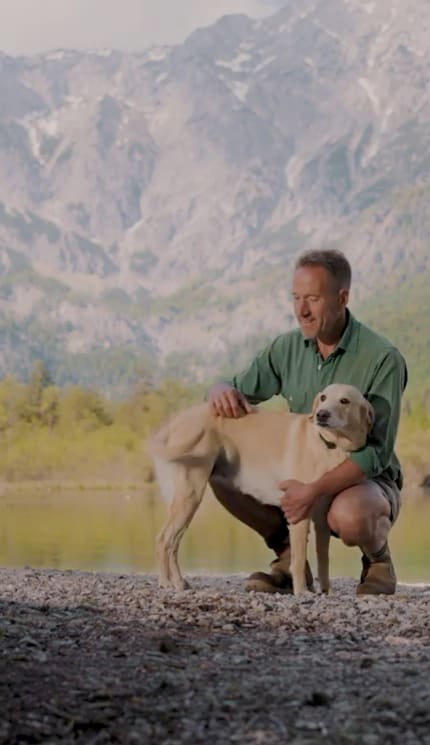 Dogs