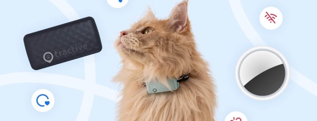 Tractive GPS-tracker for katter, katt, Apple AirTag for katter