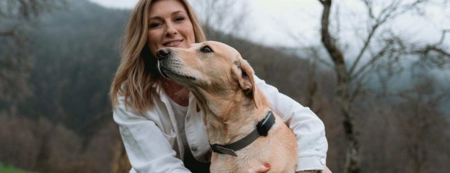 Een hond die een Tractive GPS & Gezondheidstracker draagt