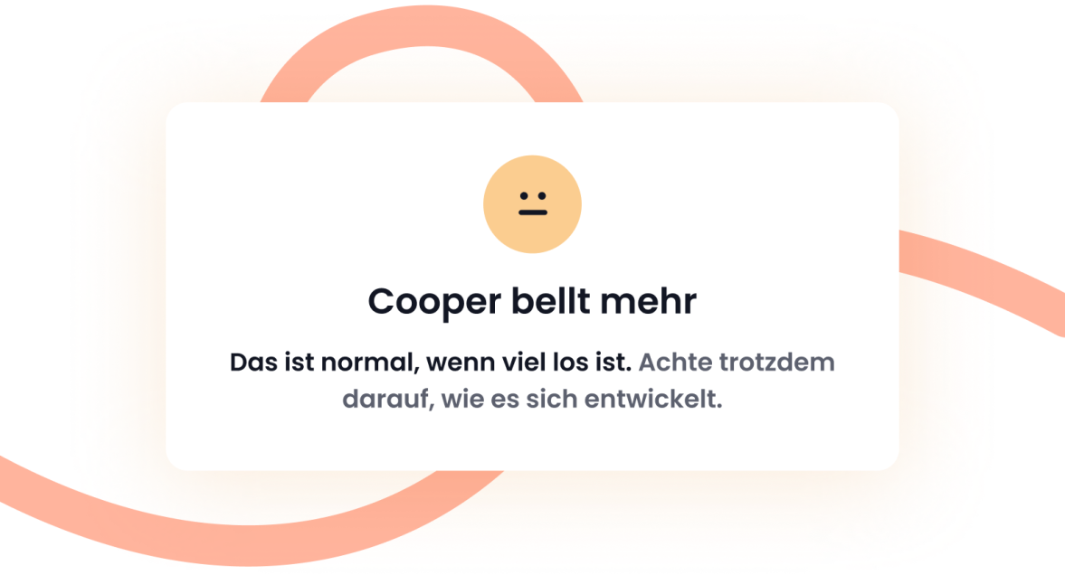 BELLVERHALTEN BEOBACHTEN