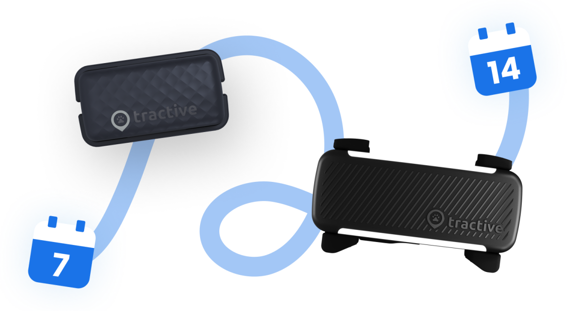 CAT and DOG trackers