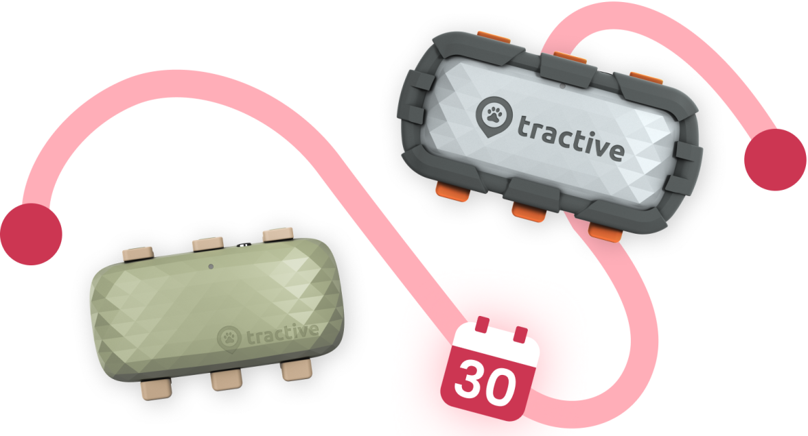 DOG XL Trackers