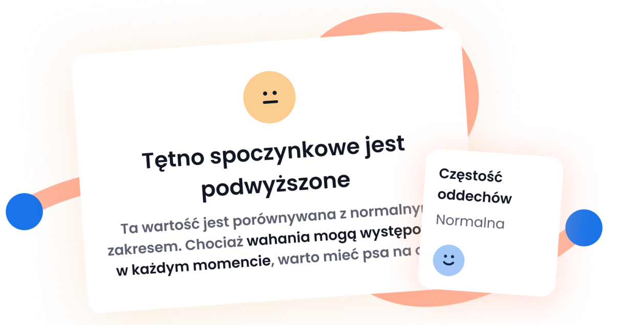 CODZIENNE ANALIZY